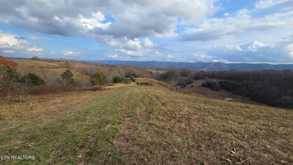 Photo of 1874 Blue Hollow Rd, Rose Hill, VA 24281 (MLS # 1331388)