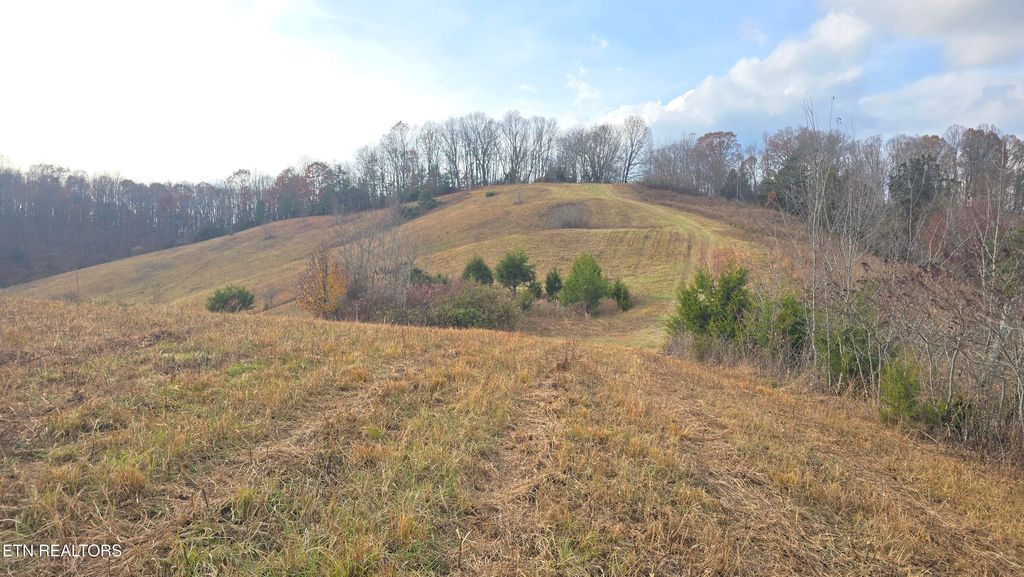 Photo of 1874 Blue Hollow Rd, Rose Hill, VA 24281 (MLS # 1331388)