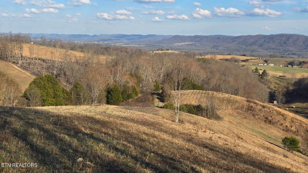 Photo of 1874 Blue Hollow Rd, Rose Hill, VA 24281 (MLS # 1331388)