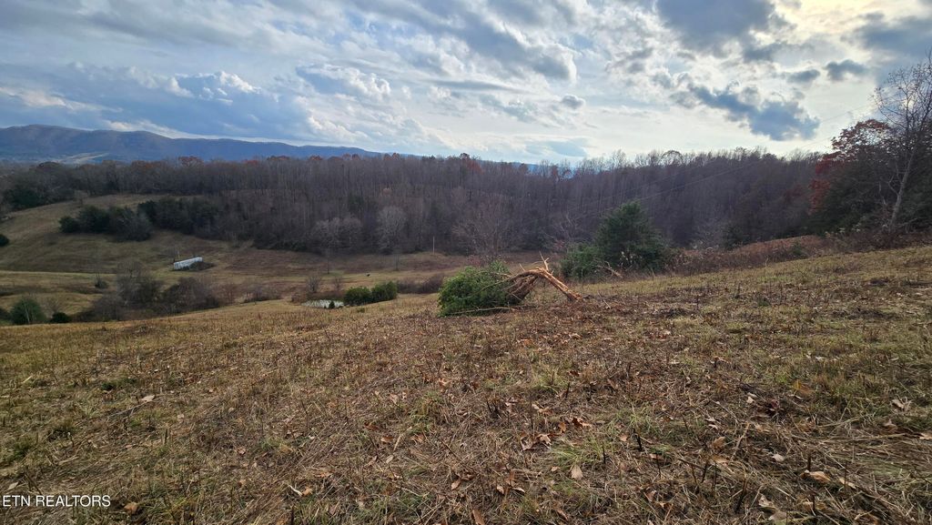 Photo of 1874 Blue Hollow Rd, Rose Hill, VA 24281 (MLS # 1331388)