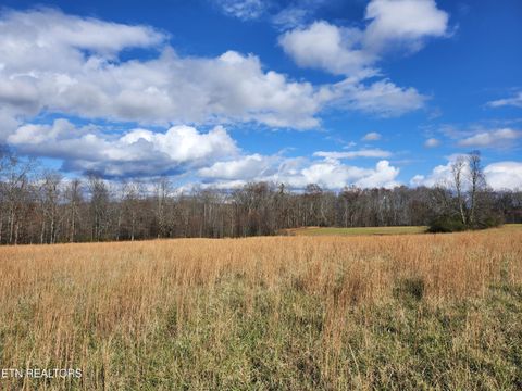 Tiny photo for 379 Christenson Rd, Deer Lodge, TN 37726 (MLS # 1326132)