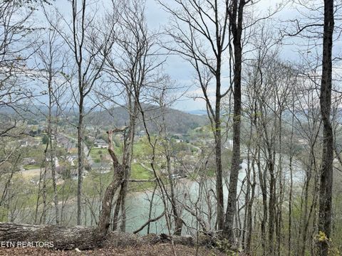 Tiny photo for Ridgeview Drive, Clinton, TN 37716 (MLS # 1341738)