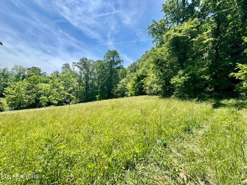 Tiny photo for Ridgeview Drive, Clinton, TN 37716 (MLS # 1341738)