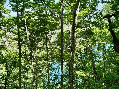 Tiny photo for Ridgeview Drive, Clinton, TN 37716 (MLS # 1341738)