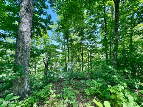 Tiny photo for Ridgeview Drive, Clinton, TN 37716 (MLS # 1341738)