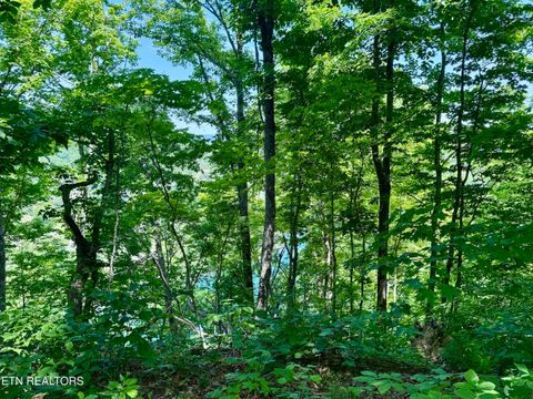 Tiny photo for Ridgeview Drive, Clinton, TN 37716 (MLS # 1341738)