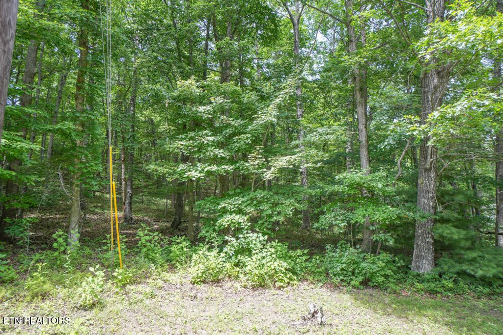 Photo of S Peterson Rd, Tallassee, TN 37878 (MLS # 1346062)