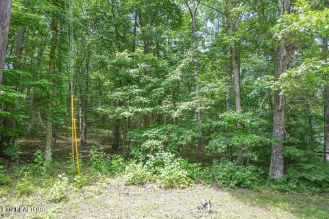 Photo of S Peterson Rd, Tallassee, TN 37878 (MLS # 1346062)