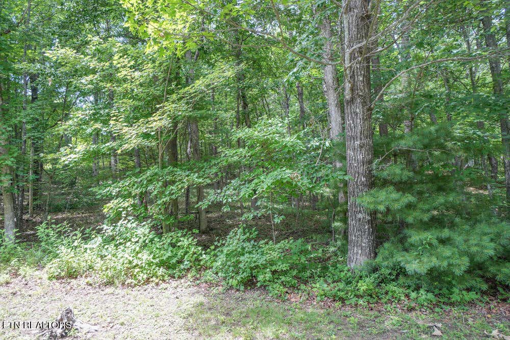 Photo of S Peterson Rd, Tallassee, TN 37878 (MLS # 1346062)