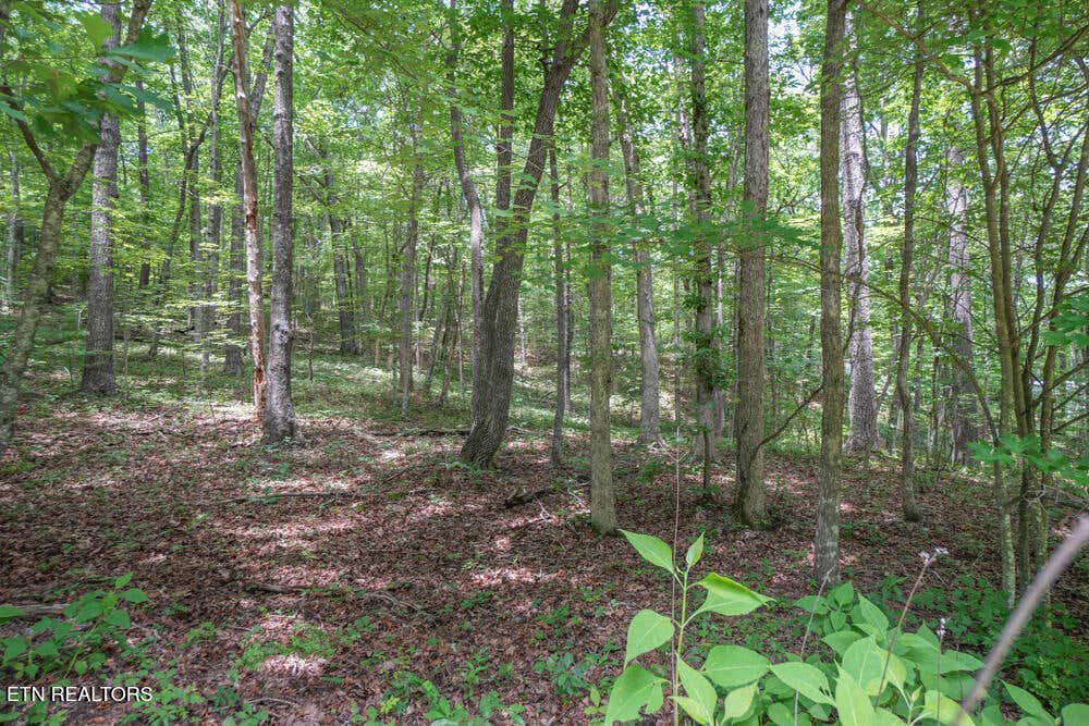 Photo of S Peterson Rd, Tallassee, TN 37878 (MLS # 1346062)