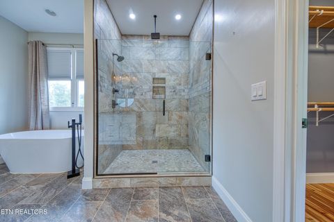 Tiny photo for 322 Blount Circle, Rutledge, TN 37861 (MLS # 1313447)