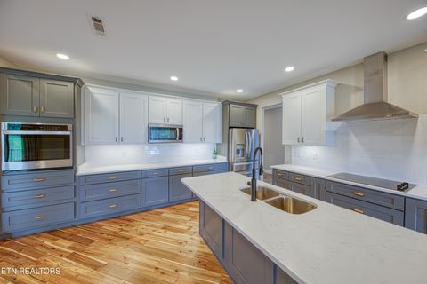 Tiny photo for 322 Blount Circle, Rutledge, TN 37861 (MLS # 1313447)