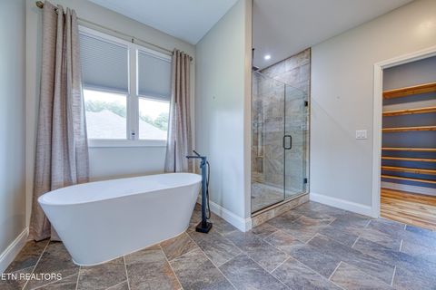 Tiny photo for 322 Blount Circle, Rutledge, TN 37861 (MLS # 1313447)