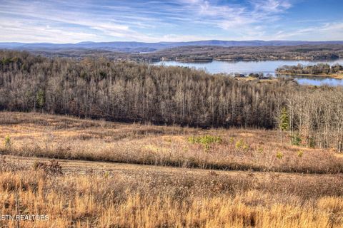 Tiny photo for 150 Grigsby Hollow Rd, Kingston, TN 37763 (MLS # 1325890)