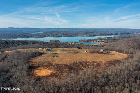 Tiny photo for 150 Grigsby Hollow Rd, Kingston, TN 37763 (MLS # 1325890)