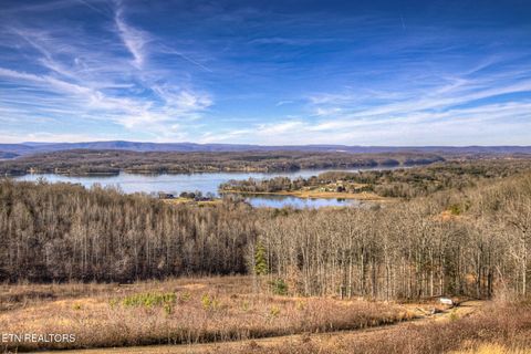 Tiny photo for 150 Grigsby Hollow Rd, Kingston, TN 37763 (MLS # 1325890)