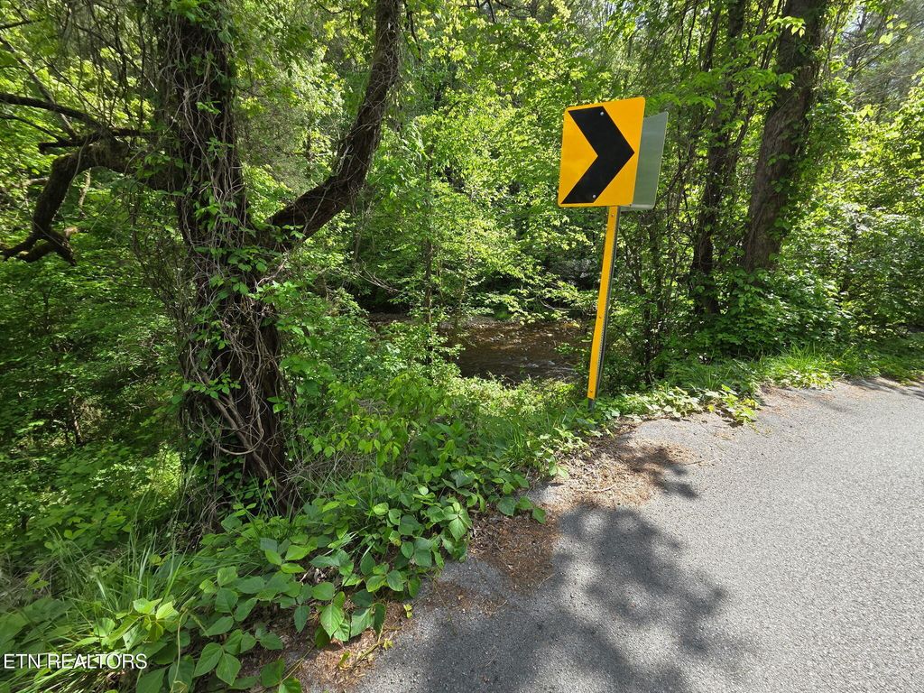 Photo of Old 15th Rd, Del Rio, TN 37727 (MLS # 1339630)
