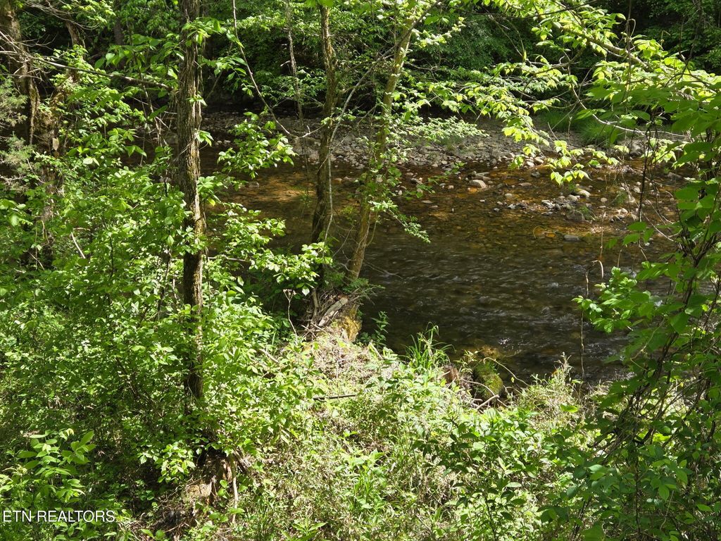 Photo of Old 15th Rd, Del Rio, TN 37727 (MLS # 1339630)