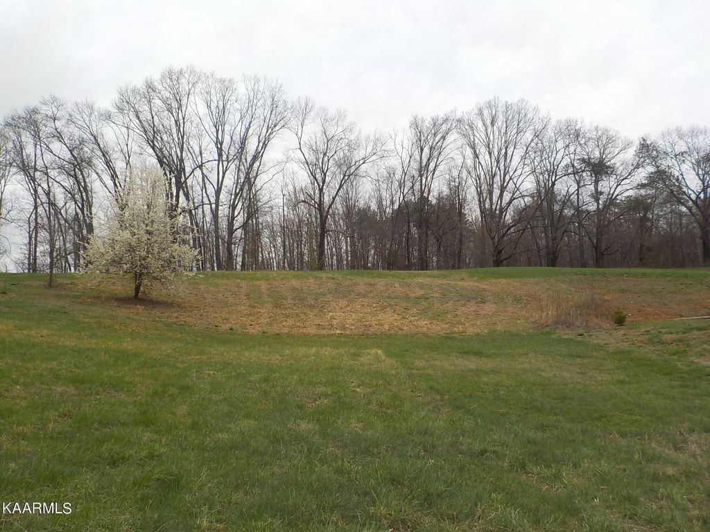 Photo of Brown Road, Blaine, TN 37709 (MLS # 1219546)