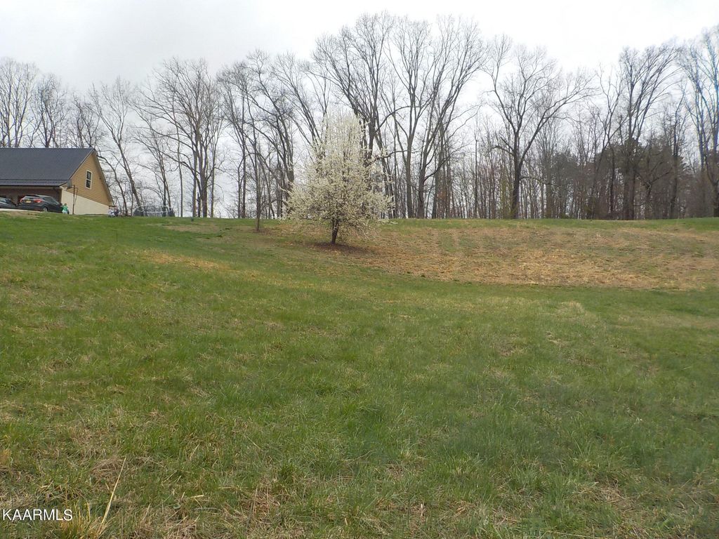 Photo of Brown Road, Blaine, TN 37709 (MLS # 1219546)