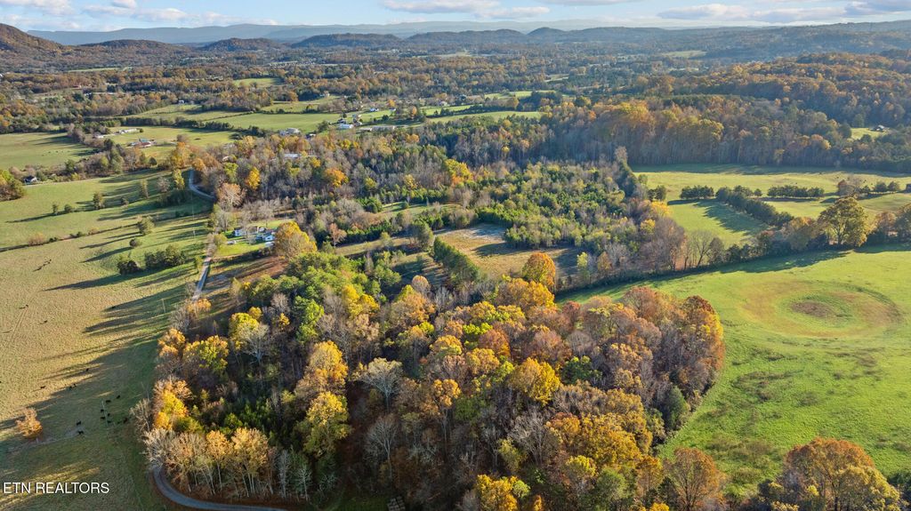 Photo of 7933 Rodgers Rd, Corryton, TN 37721 (MLS # 1282323)