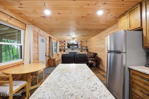 Tiny photo for 1670 Slover Springs Rd, Dandridge, TN 37725 (MLS # 1340036)