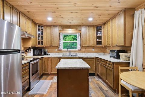 Tiny photo for 1670 Slover Springs Rd, Dandridge, TN 37725 (MLS # 1340036)