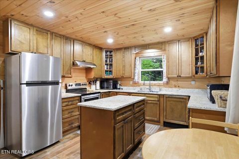 Tiny photo for 1670 Slover Springs Rd, Dandridge, TN 37725 (MLS # 1340036)