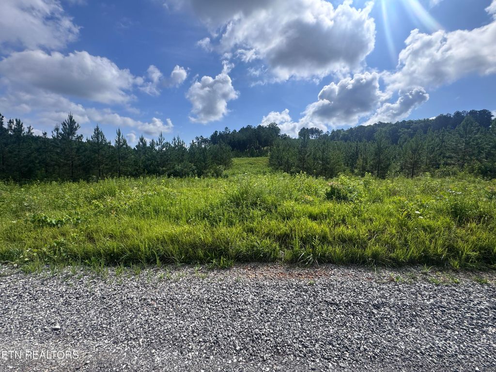 Photo of 41 Three Point Rd, Madisonville, TN 37354 (MLS # 1305618)