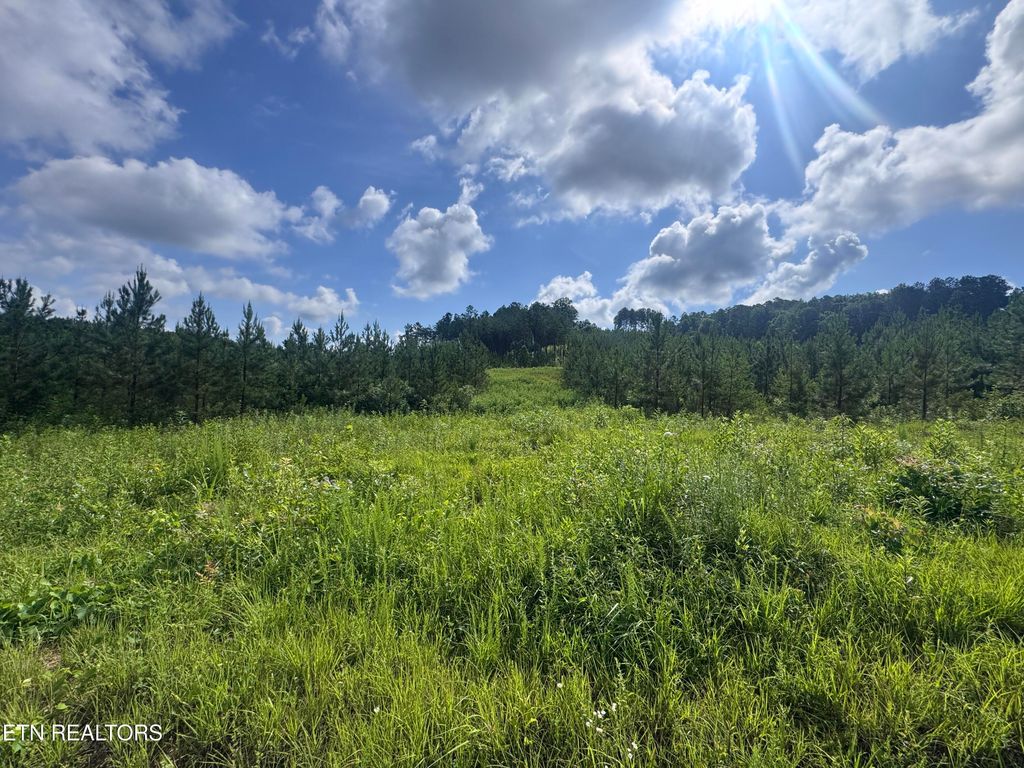 Photo of 41 Three Point Rd, Madisonville, TN 37354 (MLS # 1305618)