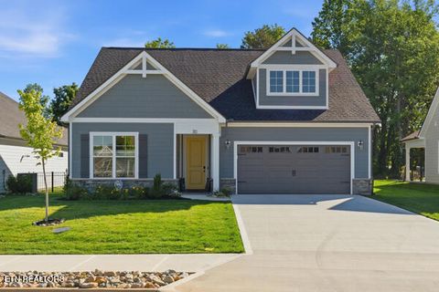 Photo of 316 Trillium Tr, Lenoir City, TN 37771 (MLS # 1342434)