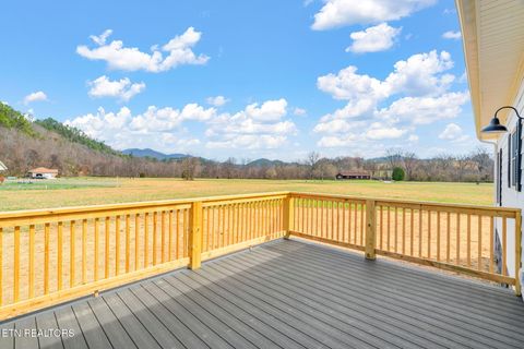 Tiny photo for 680 Kaylees Loop, Del Rio, TN 37727 (MLS # 1331975)