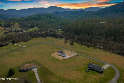 Tiny photo for 680 Kaylees Loop, Del Rio, TN 37727 (MLS # 1331975)