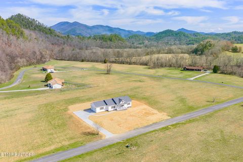 Tiny photo for 680 Kaylees Loop, Del Rio, TN 37727 (MLS # 1331975)