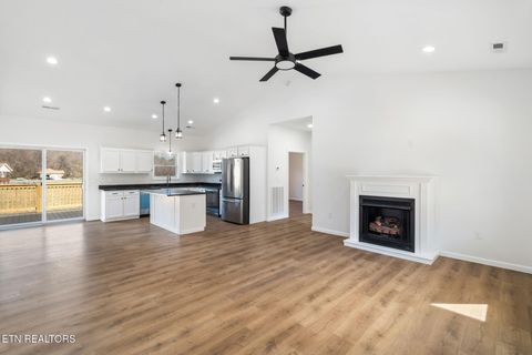 Tiny photo for 680 Kaylees Loop, Del Rio, TN 37727 (MLS # 1331975)