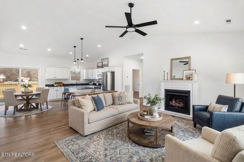 Tiny photo for 680 Kaylees Loop, Del Rio, TN 37727 (MLS # 1331975)