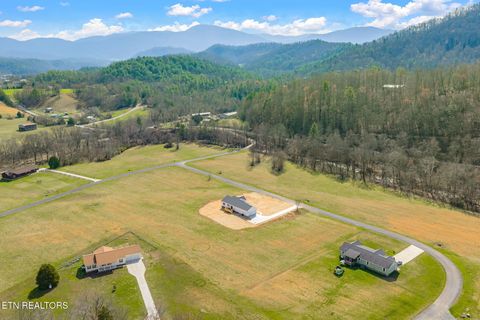 Tiny photo for 680 Kaylees Loop, Del Rio, TN 37727 (MLS # 1331975)