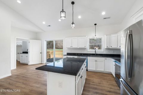 Tiny photo for 680 Kaylees Loop, Del Rio, TN 37727 (MLS # 1331975)