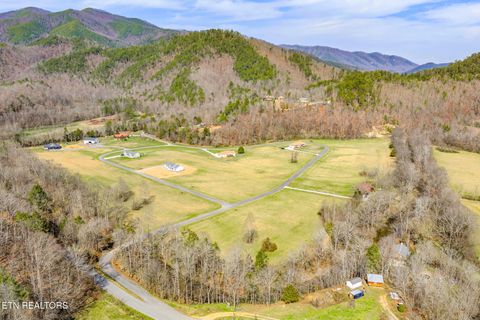 Tiny photo for 680 Kaylees Loop, Del Rio, TN 37727 (MLS # 1331975)