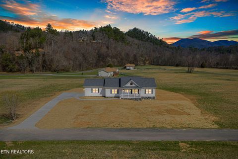 Tiny photo for 680 Kaylees Loop, Del Rio, TN 37727 (MLS # 1331975)