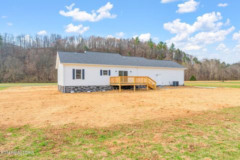 Tiny photo for 680 Kaylees Loop, Del Rio, TN 37727 (MLS # 1331975)