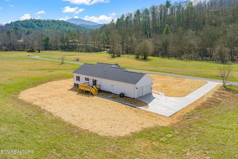 Tiny photo for 680 Kaylees Loop, Del Rio, TN 37727 (MLS # 1331975)