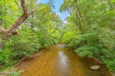 Tiny photo for 680 Kaylees Loop, Del Rio, TN 37727 (MLS # 1331975)