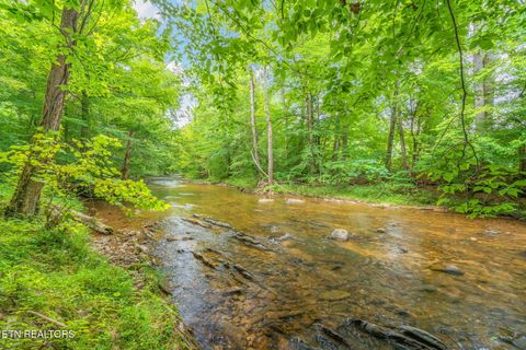 Tiny photo for 680 Kaylees Loop, Del Rio, TN 37727 (MLS # 1331975)