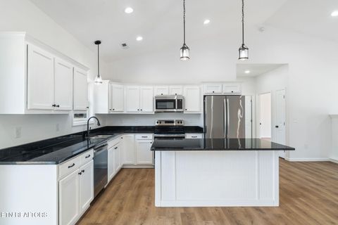 Tiny photo for 680 Kaylees Loop, Del Rio, TN 37727 (MLS # 1331975)