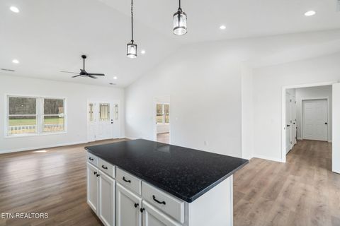 Tiny photo for 680 Kaylees Loop, Del Rio, TN 37727 (MLS # 1331975)