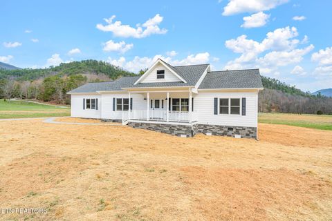 Tiny photo for 680 Kaylees Loop, Del Rio, TN 37727 (MLS # 1331975)