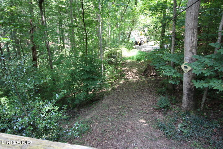 308 Black Mash Hollow Rd