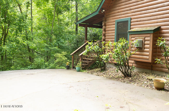308 Black Mash Hollow Rd