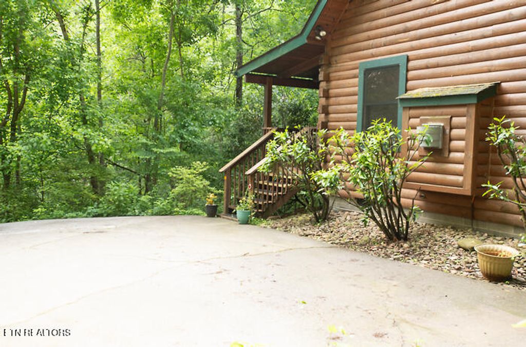 Photo of 308 Black Mash Hollow Rd, Townsend, TN 37882 (MLS # 1300487)